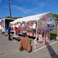 Washington Roofing ico