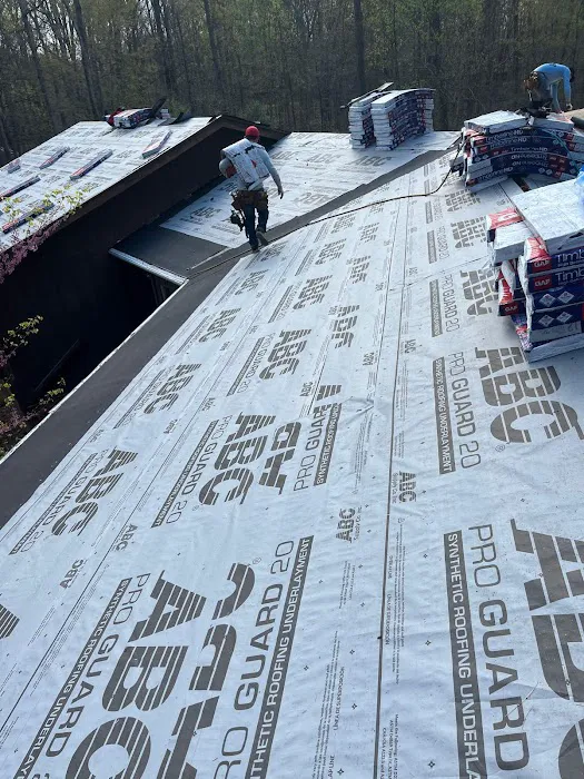 Crown Guard Picture 7