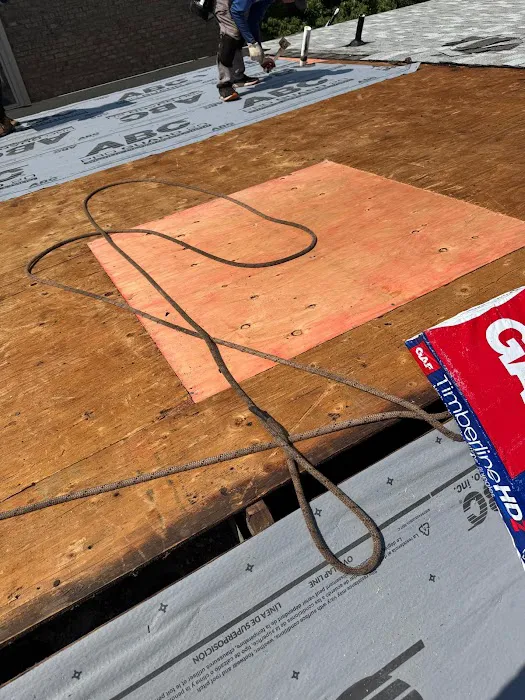 Crown Guard Picture 5