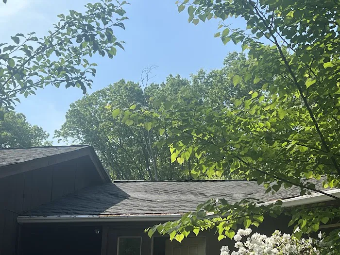 Crown Guard Picture 10