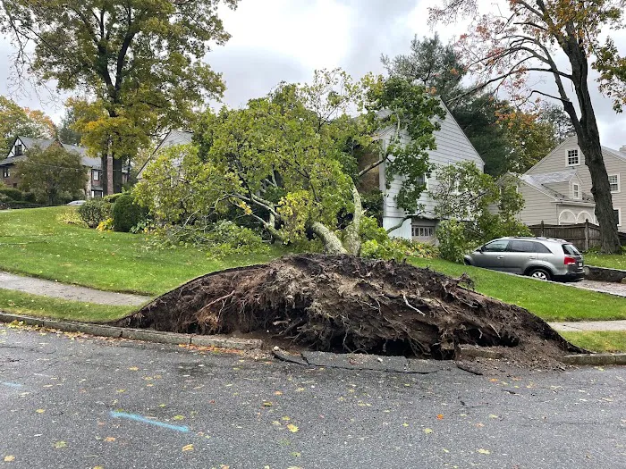 Patriot Shield Roofing Picture 9