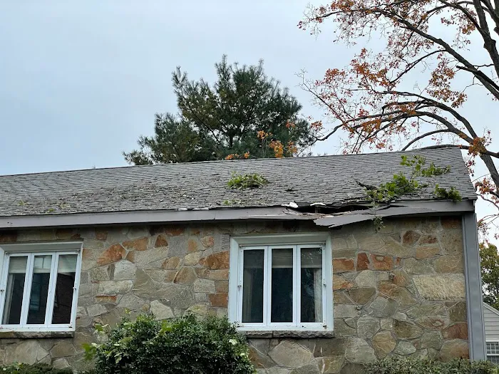 Patriot Shield Roofing Picture 4