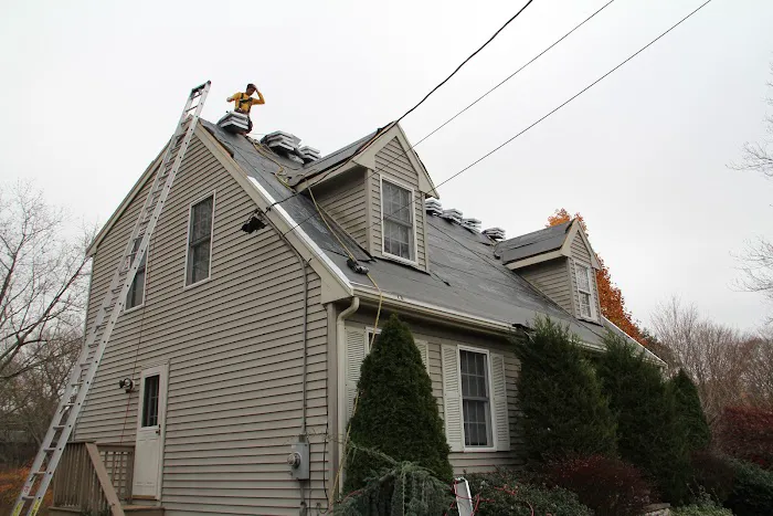 Ferreira Company Picture 9