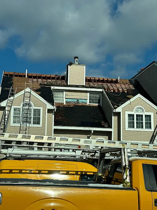 Ferreira Company Picture 2