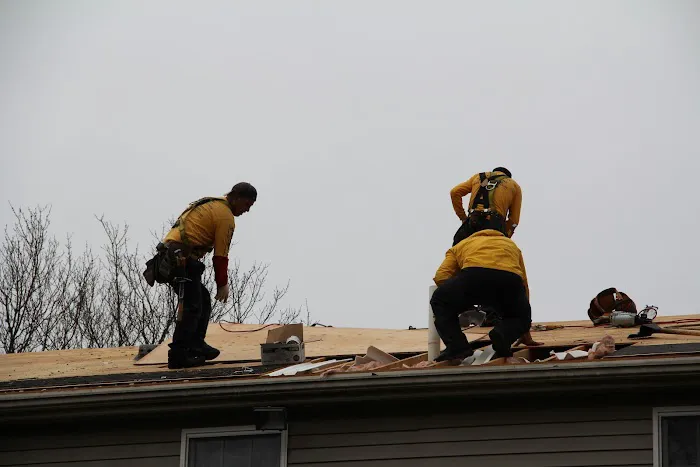 Ferreira Company Picture 3