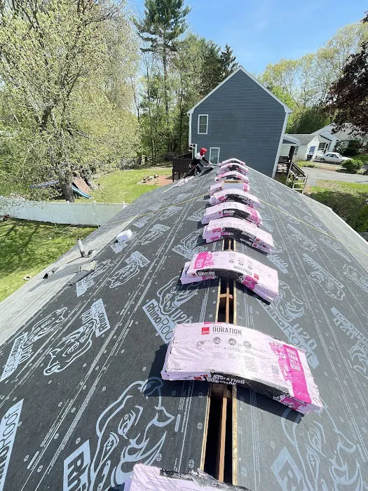 Century Home Renovation Picture 3