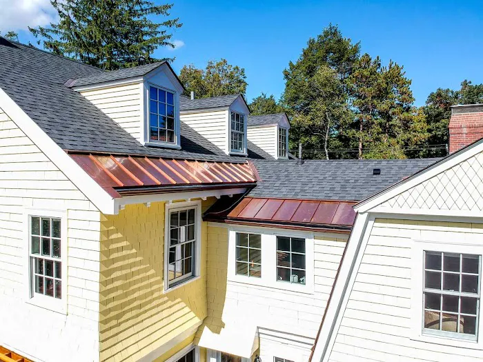 REI Roofing Picture 8