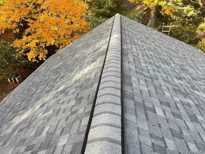 Rhino-Back Roofing Picture 5