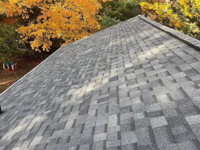 Rhino-Back Roofing Picture 6