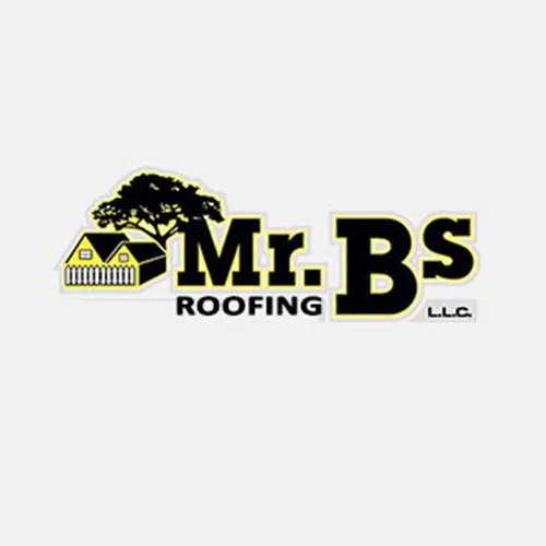 Mr. B's Roofing Ranger Picture 1