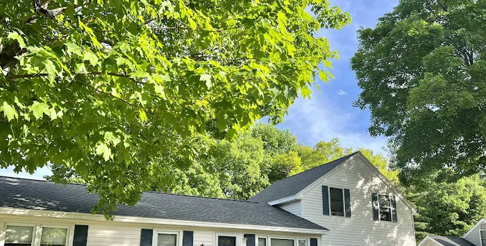 Roofing King Picture 2