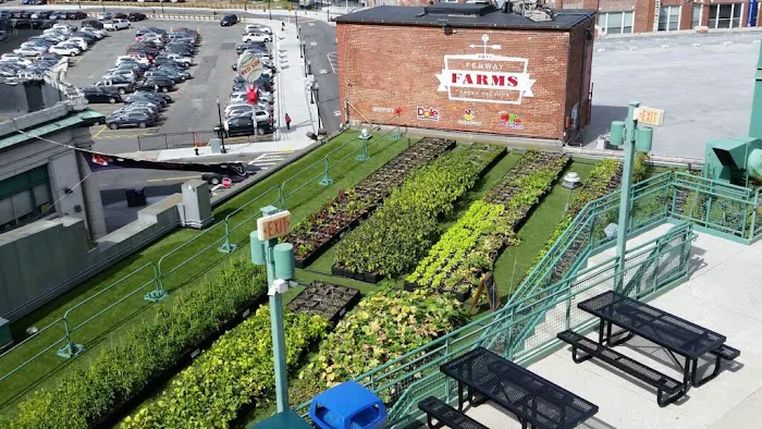 Chaffee Roofing Picture 4