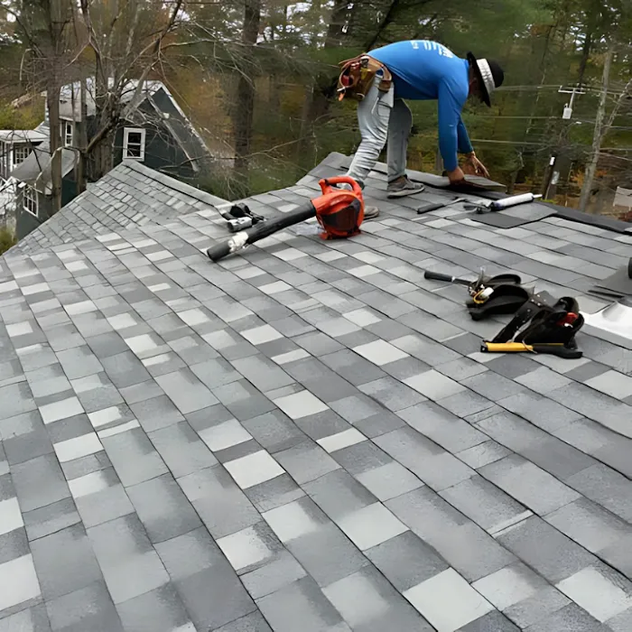 Rapid Roof Picture 3