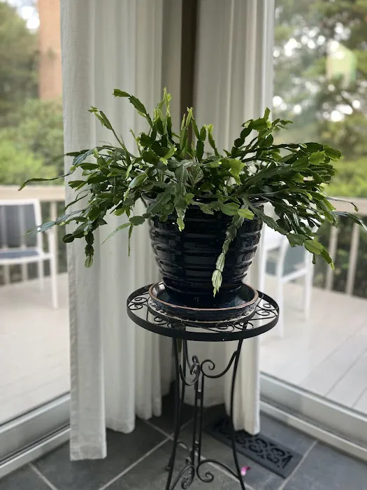 John F. O'Brien Inc. Picture 10