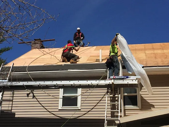 Twin Metals Roofing Picture 4