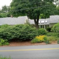 Candido's & Family ico