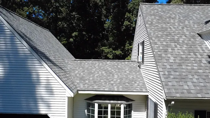 Sky Shield Picture 6