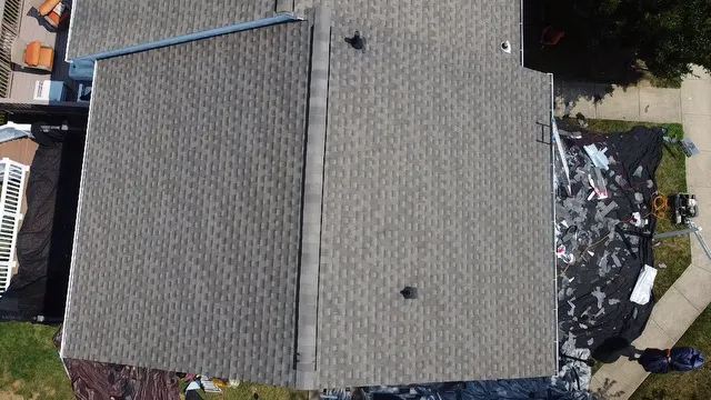 Sky Shield Picture 1