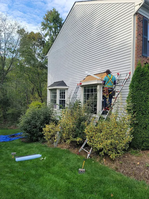 My Roofers Picture 7