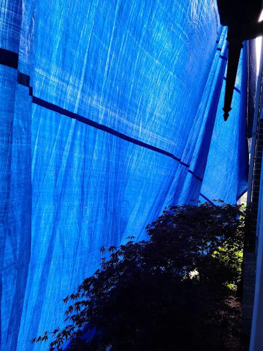 NuvoHaus Home Improvement Inc Picture 3