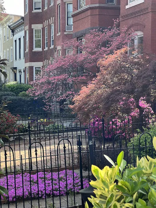 r. thomas daniel roofing Picture 1