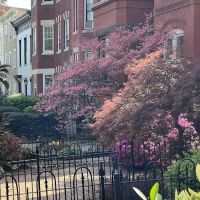 r. thomas daniel roofing ico