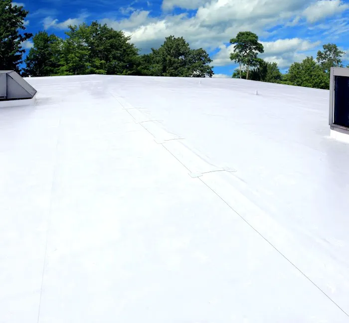 ID Roof Picture 4