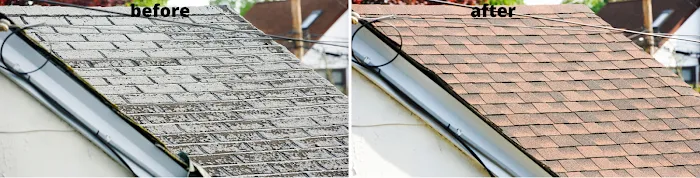 Choice construction Picture 1