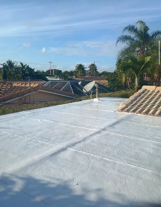 Gilmore Roof & Leak Repairs Picture 3