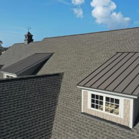 Roof Care Insights