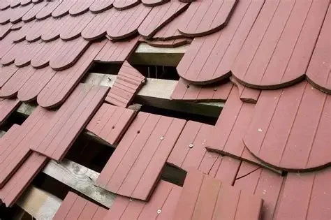The Difference Between Roof Repair and Roof Restoration: Which Option is Best?