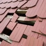 The Difference Between Roof Repair and Roof Restoration: Which Option is Best?