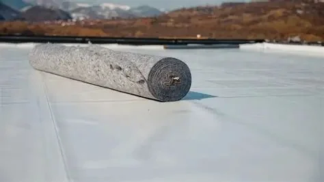 The Pros and Cons of a Cold-Applied Roof Membrane System: A Comprehensive Guide