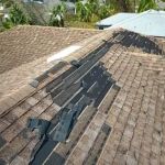 How to Repair a Roof Leak in a Building with a Living Green Roof