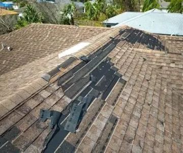 How to Repair a Roof Leak in a Building with a Living Green Roof
