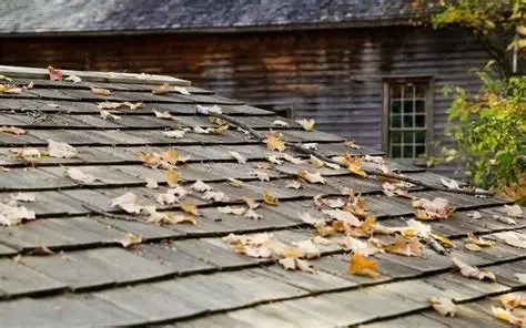 How to Handle Roof Damage Caused by Fallen Tree Branches