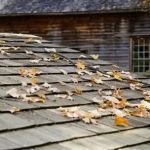 How to Handle Roof Damage Caused by Fallen Tree Branches