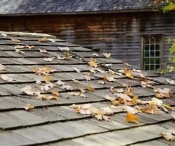 How to Handle Roof Damage Caused by Fallen Tree Branches