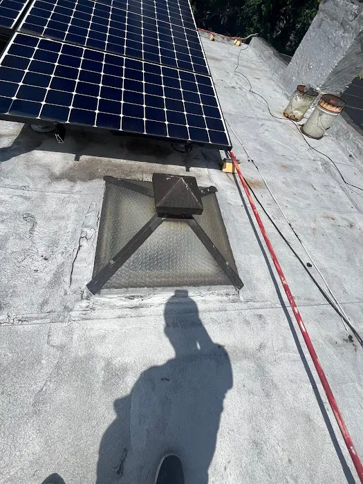 DF Roofing Care Picture 3