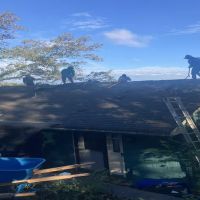 Pro City Roofing LLC ico