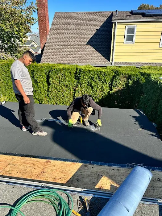 Barrys Waterproofing and Roofing Picture 5