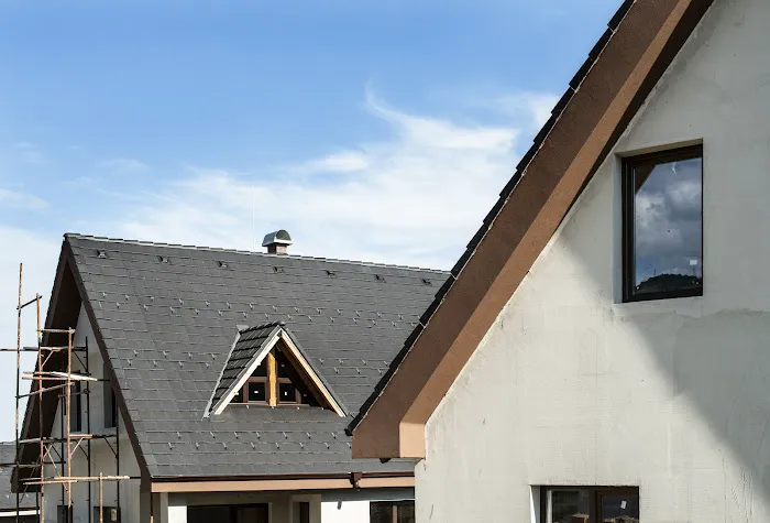 Expert Roofing Picture 1
