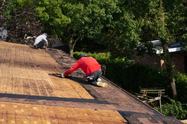 Bayside Roof Experts. Picture 6