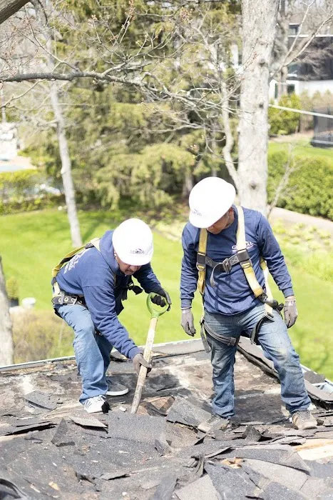 Bayside Roof Experts. Picture 10