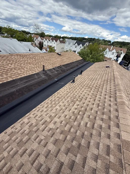 Double Eagle Roofing Picture 5
