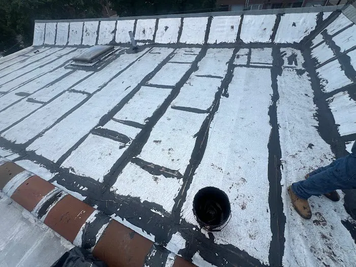 SPARTAN NY ROOF REPAIR EXPERT Picture 7