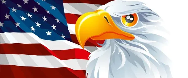 American Eagles Contractor Corp Picture 1