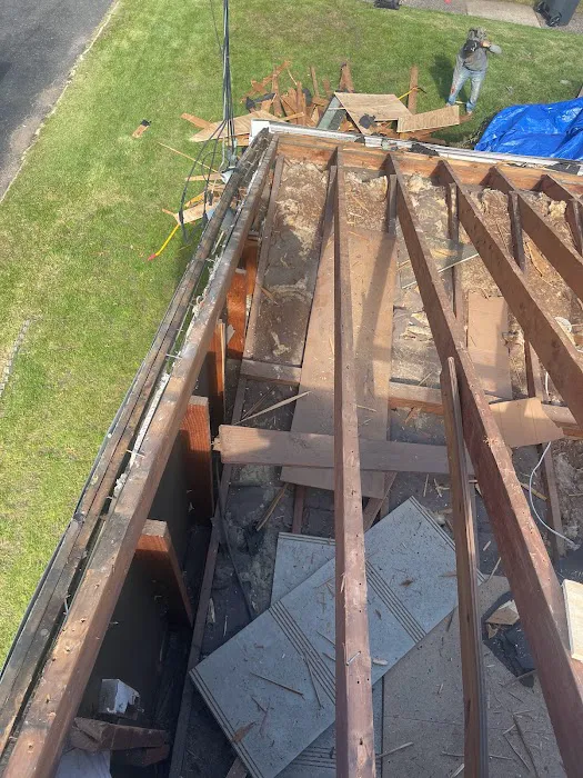 Dream Roofers Picture 8