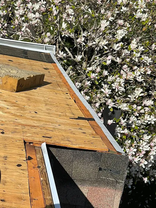 Dream Roofers Picture 10