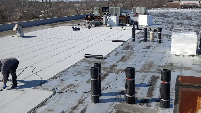 Rose Roofers Picture 3